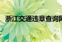 浙江交通违章查询网（浙江交通违章查询）