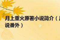 月上重火原著小说简介（月上重火新版番外结局月上重火小说番外）