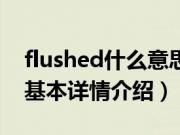 flushed什么意思（关于flushed什么意思的基本详情介绍）
