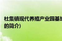 杜集镇现代养殖产业园基地(关于杜集镇现代养殖产业园基地的简介)