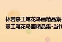 林若熹工笔花鸟画精品集-当代工笔画唯美新势力(关于林若熹工笔花鸟画精品集-当代工笔画唯美新势力的简介)