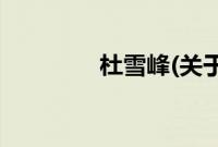 杜雪峰(关于杜雪峰的简介)