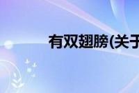 有双翅膀(关于有双翅膀的简介)