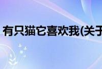 有只猫它喜欢我(关于有只猫它喜欢我的简介)
