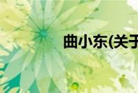 曲小东(关于曲小东的简介)