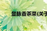 显脉香茶菜(关于显脉香茶菜的简介)