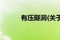 有压隧洞(关于有压隧洞的简介)