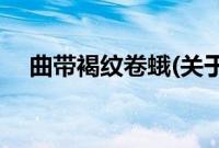 曲带褐纹卷蛾(关于曲带褐纹卷蛾的简介)