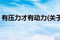 有压力才有动力(关于有压力才有动力的简介)
