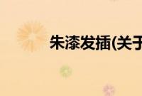 朱漆发插(关于朱漆发插的简介)
