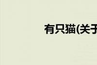 有只猫(关于有只猫的简介)