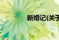 新婚记(关于新婚记的简介)