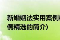新婚姻法实用案例精选(关于新婚姻法实用案例精选的简介)
