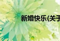 新婚快乐(关于新婚快乐的简介)