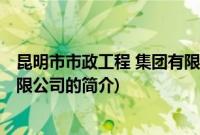 昆明市市政工程 集团有限公司(关于昆明市市政工程 集团有限公司的简介)