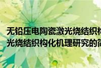 无铅压电陶瓷激光烧结织构化机理研究(关于无铅压电陶瓷激光烧结织构化机理研究的简介)