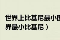 世界上比基尼最小图片（世界上最小的裤子世界最小比基尼）