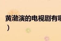 黄渤演的电视剧有哪些（黄渤演的电视剧列述）