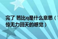 完了 芭比q是什么意思（芭比q是什么意思表达一种非常震惊无力回天的感觉）