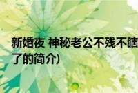 新婚夜 神秘老公不残不瞎了(关于新婚夜 神秘老公不残不瞎了的简介)