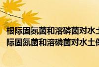 根际固氮菌和溶磷菌对水土保持禾草的联合促生效应(关于根际固氮菌和溶磷菌对水土保持禾草的联合促生效应的简介)