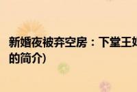 新婚夜被弃空房：下堂王妃(关于新婚夜被弃空房：下堂王妃的简介)