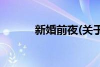 新婚前夜(关于新婚前夜的简介)