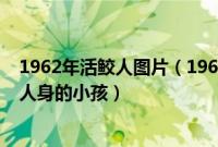1962年活鲛人图片（1962年活鲛人现身事件惊现一名鱼尾人身的小孩）