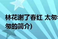 林花谢了春红 太匆匆(关于林花谢了春红 太匆匆的简介)