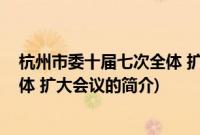 杭州市委十届七次全体 扩大会议(关于杭州市委十届七次全体 扩大会议的简介)