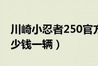 川崎小忍者250官方报价（川崎小忍者250多少钱一辆）