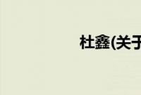 杜鑫(关于杜鑫的简介)