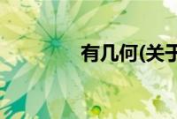 有几何(关于有几何的简介)