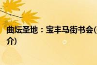 曲坛圣地：宝丰马街书会(关于曲坛圣地：宝丰马街书会的简介)
