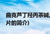 曲克芦丁羟丙茶碱片(关于曲克芦丁羟丙茶碱片的简介)