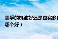 美孚的机油好还是嘉实多的机油好(美孚机油和嘉实多对比哪个好)