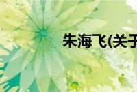 朱海飞(关于朱海飞的简介)