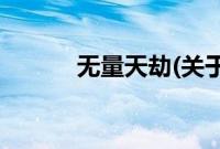 无量天劫(关于无量天劫的简介)