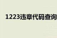 1223违章代码查询交通（1223违章代码）