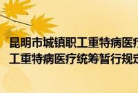 昆明市城镇职工重特病医疗统筹暂行规定(关于昆明市城镇职工重特病医疗统筹暂行规定的简介)