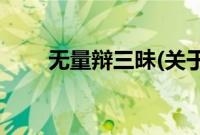 无量辩三昧(关于无量辩三昧的简介)
