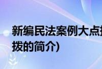 新编民法案例大点拨(关于新编民法案例大点拨的简介)