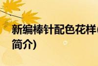 新编棒针配色花样(关于新编棒针配色花样的简介)