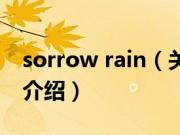 sorrow rain（关于sorrow rain的基本详情介绍）