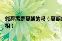 尧舜禹是夏朝的吗（夏朝皇帝列表尧舜禹禅让背后可怕的真相）