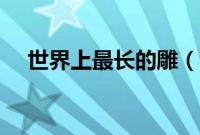世界上最长的雕（角雕世界上最大的雕）