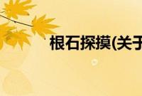 根石探摸(关于根石探摸的简介)