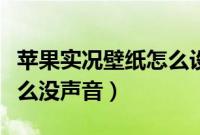 苹果实况壁纸怎么设置声音（苹果实况壁纸怎么没声音）