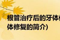 根管治疗后的牙体修复(关于根管治疗后的牙体修复的简介)