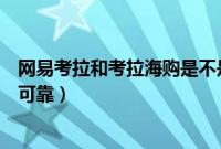 网易考拉和考拉海购是不是一个（网易旗下的考拉海购是否可靠）